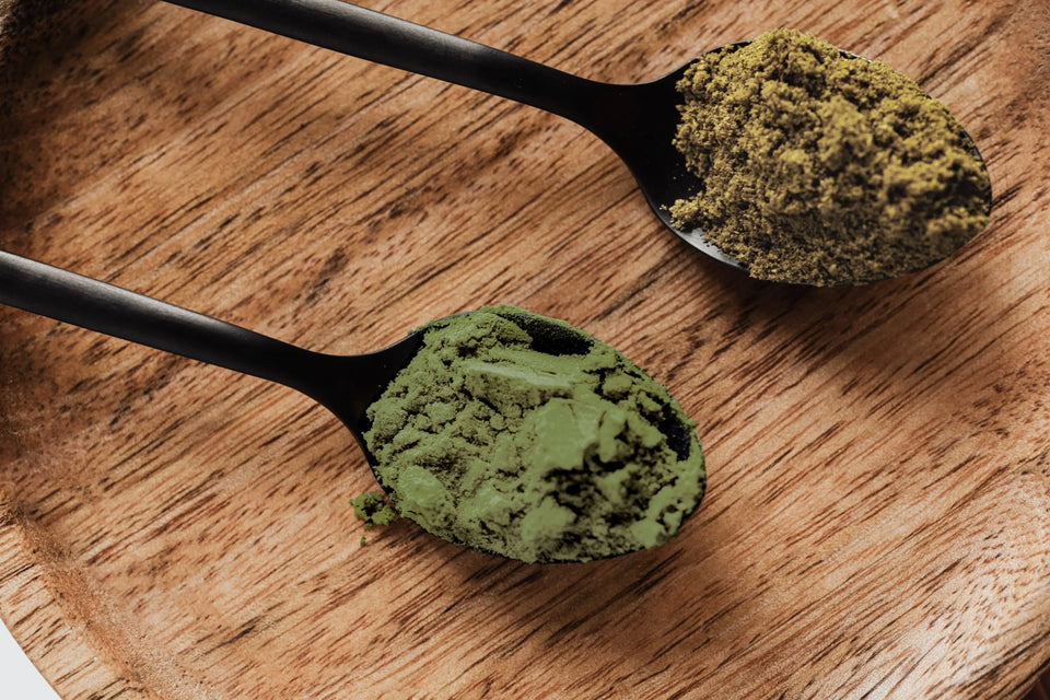 Kratom y Kava: un dúo natural para la salud y el bienestar