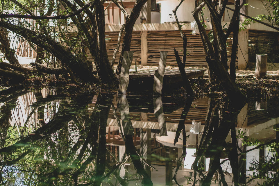 Tulum's Treasures: The Cenote Experience at Bula