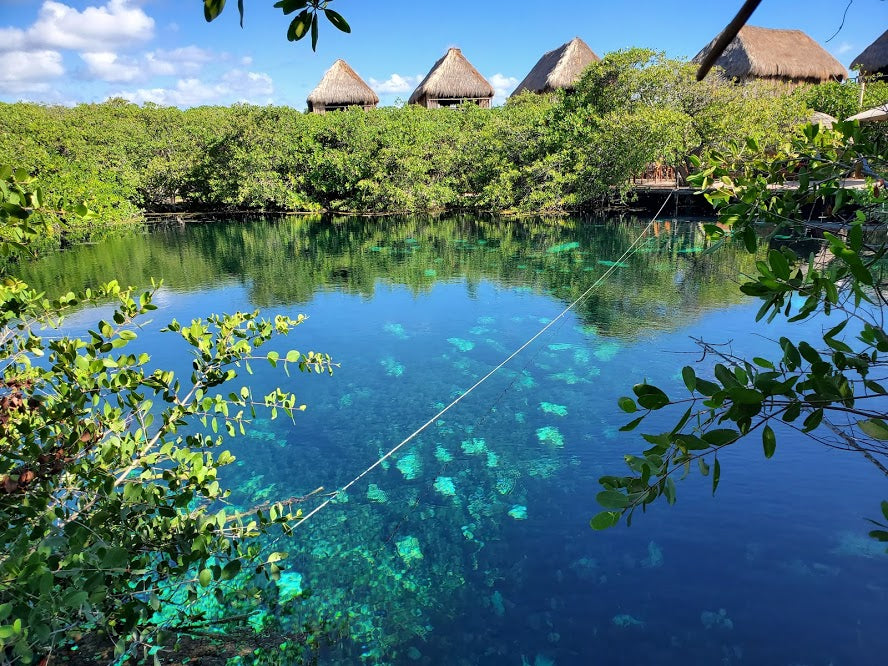 Why enjoy Kratom in Mexico?